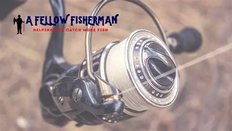 Top online casinos in Canada